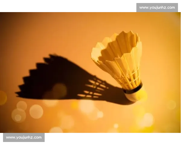 羽毛球VS100极限挑战全民参与速度力量智慧大对决巅峰之战